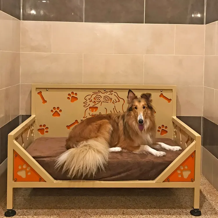 A dog lying on a brown bed in a room with tiled walls, featuring a decorative panel with a dog's face and paw and bone cutouts in the background.