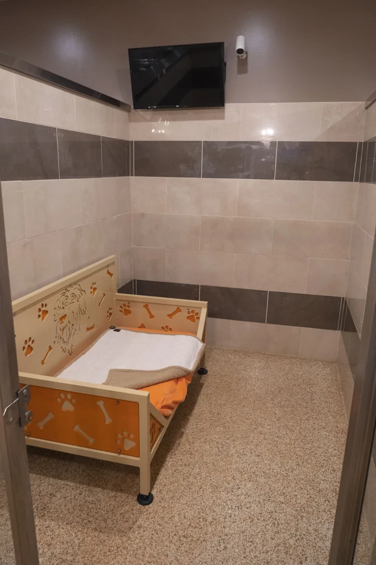Presidental Suite